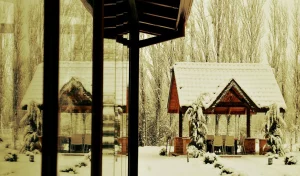 Bahçeli: Netanyahu panik halinde, Cumhurbaşkanımızın yanındayız