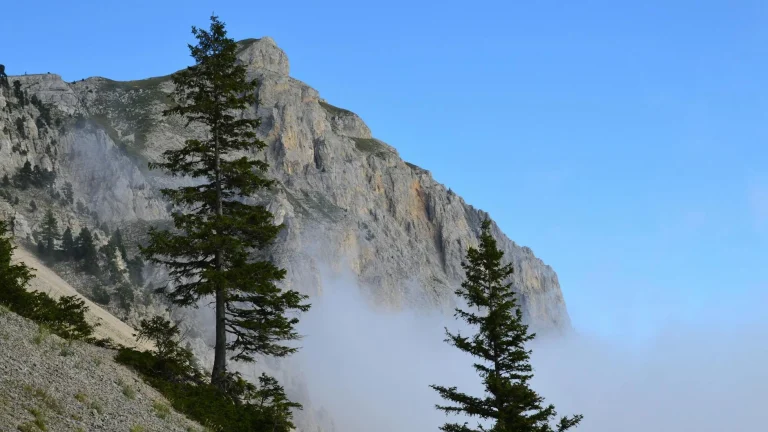 En kritik operasyon! Uranyum nasıl gizlice ABD’ye taşındı? ‘Bugünün gerilimine ışık tutan uyarı’