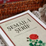 Red Bull Uçuş Günü Geri Dönüyor