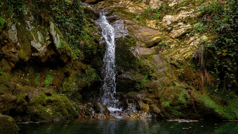 Trump’tan İran’a müzakere teklifi: Görüşmek isterlerse beni arayabilirler