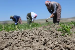 70 yaşında 168 çocuğu var! Tıp dünyasını altüst etti… O, biyolojik bir mayın tarlası