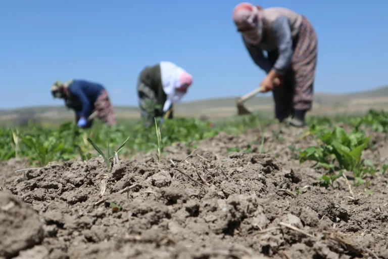 70 yaşında 168 çocuğu var! Tıp dünyasını altüst etti… O, biyolojik bir mayın tarlası