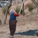 Kayınvalide, kızını silahla vuran damadını bıçakla öldürdü