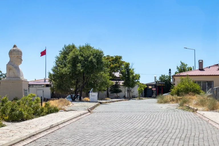 113 yıl önce Isparta’da bulunmuştu! Sırrı çözüldü… ‘Anadolu’da başka bilinmiyor’