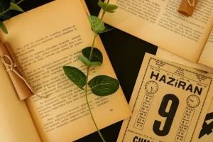 HAZİRAN AYI BURÇ YORUMLARI 2026 || Aygül Aydın Tek Tek Anlattı! Yengeç, Aslan, Başak ve Diğer Burçlar… Haziran Ayında Hangi Burcu Neler Bekliyor?