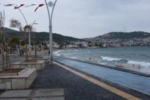 Muğla’da yeni endemik tür keşfedildi! ‘Bilimsel açıdan son derece heyecan verici bir durum’