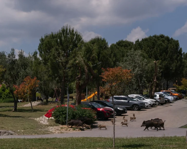 Polis arayınca yanlış park sandılar, gerçeği öğrenince başlarından aşağı kaynar su döküldü | Kabus sonrası haladan şok mesaj