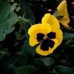 Bakan Çiftçi’den Bylock benzetmesi: Alihan Kuriş suç şebekesinin de Blopper uygulaması var