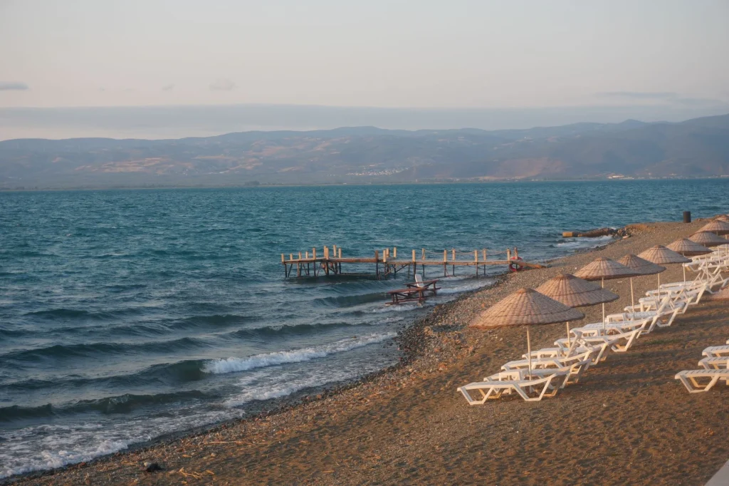 Körfezde korkutan manzara… Dev orkinoslar peş peşe kıyıya vurdu