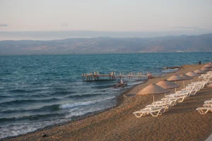 Körfezde korkutan manzara… Dev orkinoslar peş peşe kıyıya vurdu