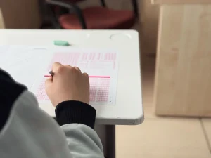 KPSS 2026 SINAV YERİ SORGULAMA || KPSS Lisans sınav yerleri açıklandı mı, ne zaman açıklanacak? KPSS sınav giriş belgesi nereden indirilir?