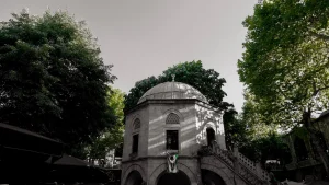 Tarih verildi! Türkiye eyyam-ı bahur sıcaklarının etkisi altına giriyor